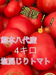 熊本八代　塩混じりトマト訳あり　箱込み4キロクール便②