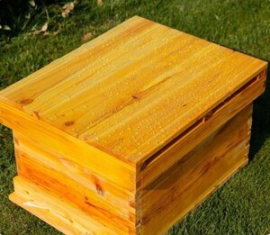  practical goods *.... breeding for nest box nest frame type nest box Japanese cedar wooden nest box molasses bee Mitsuba chi breeding nest box molasses . coating . bee supplies . bee apparatus 