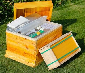  practical goods *.... breeding for nest box nest frame type nest box Japanese cedar wooden nest box molasses bee Mitsuba chi breeding nest box molasses . coating . bee supplies . bee apparatus 