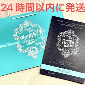 Tiffany wonder ティファニーワンダー展 東京 2024 ショッパー バッグ 袋 トート パンフレット 限定レア