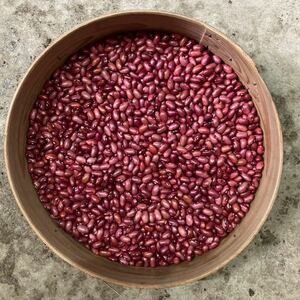  Tokachi ima farm red kidney bean 800g. peace 5 year production Hokkaido Tokachi production click post shipping 