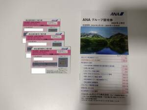 ★送料無料★ANA 株主優待券3枚+ANAグループ優待券1冊 ■2024/6/1～2025/5/31