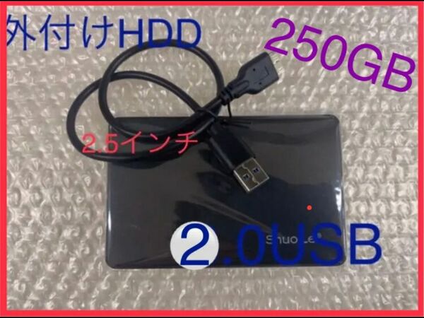 外付けハードディスク250GB大容量　外付けHDD USB2.0新品ケース付き