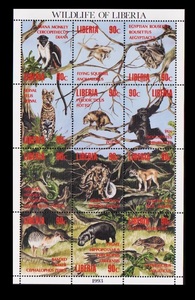 zα151y1-2l　リベリア1993年　リベリアの野生動物・12種シート　