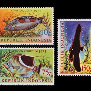 cκ683y3-2I インドネシア1975年 セグロチョウチョウウオなど魚・3枚完の画像1
