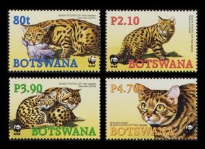 cκ120ｙ1-6b　ボツワナ2005年　WWF・クロアシネコ・動物・4枚完　