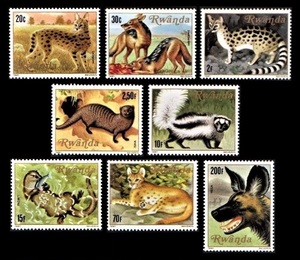 cκ842y1-4R　ルワンダ1981年　ゾリラなど肉食動物・8枚完　