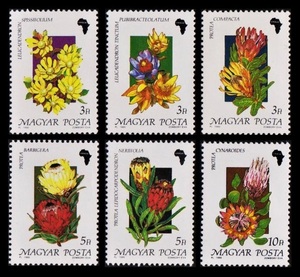 zα30y5-1h　ハンガリー1990年　アフリカの花・6枚完