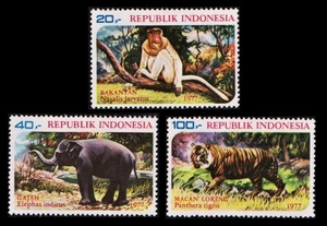 cκ798y3-1I　インドネシア1977年　テングザルなど野生動物保護・3枚完