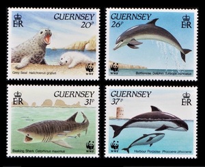 cκ694y5-5g　ガーンジー1990年　ハイイロアザラシなど動物・WWF・4枚完