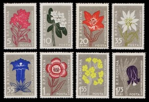 cκ59y5-1R2　ルーマニア1957年　カルパティア山脈の花・8枚完