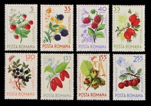 cκ210y5-1r　ルーマニア1964年　苺など果物・8枚完