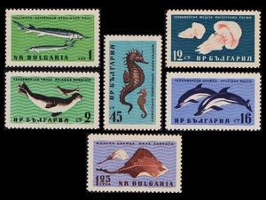 cκ642y5-7B　ブルガリア1961年　イルカなど黒海の生物・6枚完