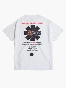 新品未使用 Mサイズ DAVID MUSHEGAIN Graphic Tee（RHCP） ロンハーマン レッチリ