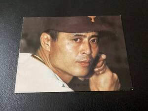 良品　カルビー73年　王貞治（巨人） No.141　プロ野球カード