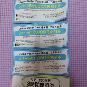 トラウト管理釣り場 OYAMA WATER PARK游水園 ルアー 3時間無料券と1000円割引券 3枚!