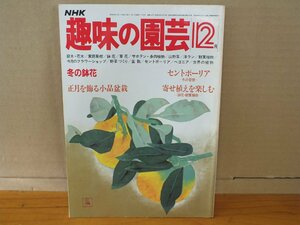 NHK хобби. садоводство Showa 56 год 12 месяц зимний цветочный горшок * цент Poe задний 