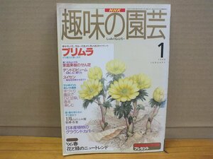 NHK хобби. садоводство [ примула * семья фруктовое дерево ....] 1996 год 1 месяц 