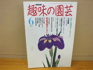 NHK 趣味の園芸 平成3年6月 ハナショウブ