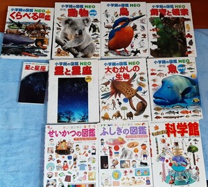 １１冊★小学館図鑑NEO 星と星座　飼育と観察　鳥　魚　科学館　くらべる図鑑　大むかしの生物　せいかつの図鑑　ふしぎの図鑑