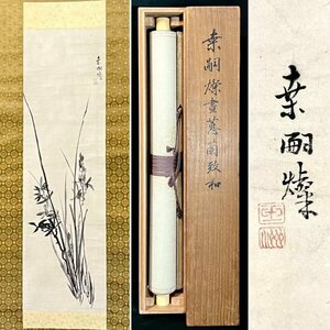 Art hand Auction [复制品] 桑山玉树兰 立轴 纸本花卉画 江户中期文人画家 受沈南品影响, 师从池大雅 纪州三大南画师之一 和歌山县人 H07MAT, 绘画, 日本画, 花鸟, 野生动物