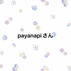 payanapiさん