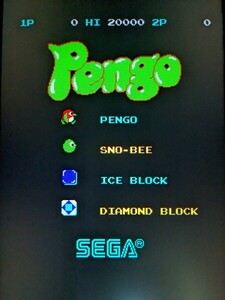 即決　ペンゴ　基板(c)　動作確認済　一部純正ROM？　セガ　PENGO