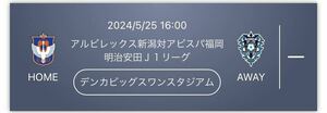 アルビレックス新潟対アビスパ福岡 明治安田Ｊ１リーグ 2024/05/25（土） 16:00 デンカビッグスワンスタジアム E2アッパー指定席 2連番