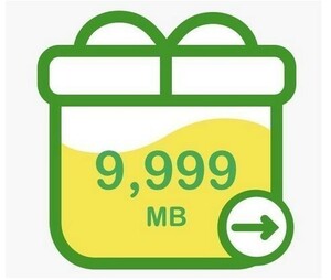 【匿名取引】mineo マイネオ パケットギフト 約10GB（9999MB）