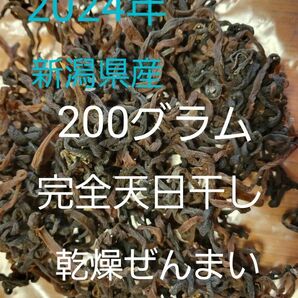 新潟県産2024年4月～5月始め採取★完全天日干し乾燥ぜんまい200グラム