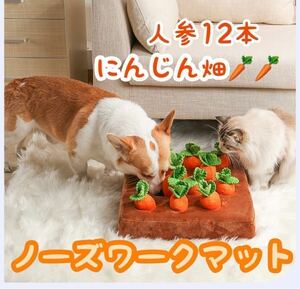 犬猫 ノーズワーク 訓練 うさぎ にんじん畑 知育玩具 引っこ抜く 早食い防止 おもちゃ 臭覚訓練 新品未使用