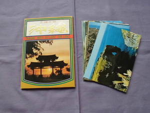 T8　沖縄　太陽の旅　絵葉書　ポストカード　