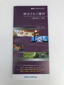 西武ホールディングス　株主優待　株主さまご優待冊子　500株以上1000株未満　冊子のみ