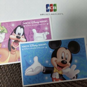 送料無料 東京ディズニーリゾート スポンサーパスポート ペア 東京ディズニーランド ディズニーシー パークチケットの画像1