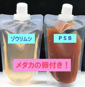 ゾウリムシ種水 ＆ PSB ＆ メダカの卵（２種類 各10個） セット！　　　針子の餌・光合成細菌