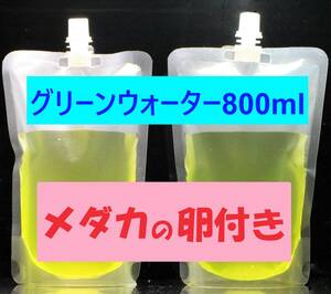 グリーンウォーター 800ml ＆ メダカの卵（２種類 各10個） セットです！　　　針子の餌・光合成細菌・ゾウリムシ培養・メダカの卵