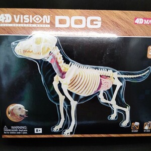 【新品】4D VISION FULL SKELETON MODEL DOG 犬