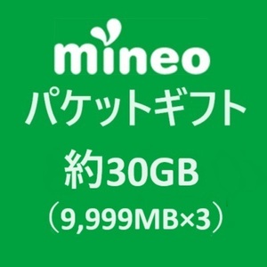mineoパケットギフト約30GB（9999MB×3）