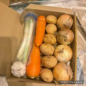  немедленная покупка приветствуется овощи набор картофель шар лук порей лук-батун морковь чеснок 