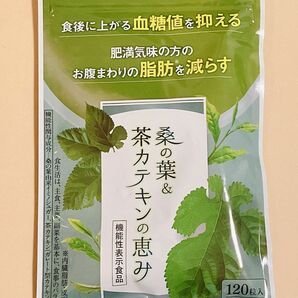 和漢の森　桑の葉 茶カテキン 120粒 国産お腹の脂肪を減らす