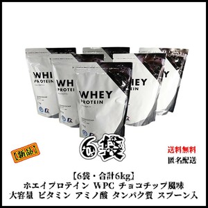 [ new goods *6 sack *6kg] whey protein WPC chocolate chip manner taste spoon entering diet amino acid protein quality vitamin .tore training 