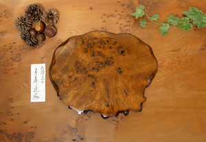 [... . atelier ] new work!nala nature tree kelp stand for flower vase (No.8835)