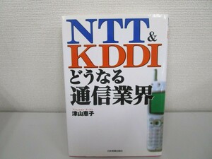 NTT&KDDIどうなる通信業界 n0605 E-16