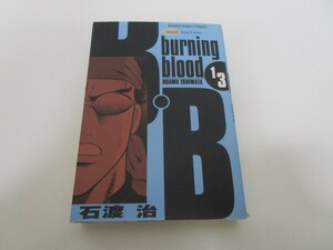 B・B(バーニングブラッド) 13 ワイド版 (少年サンデーコミックスワイド版) n0605 F-3
