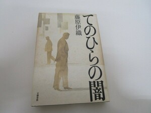 てのひらの闇 n0605 F-11