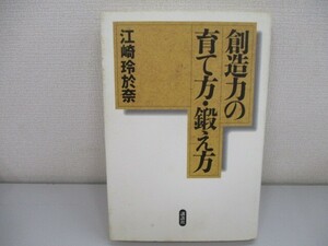 創造力の育て方・鍛え方 n0605 F-22