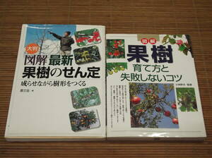 農文協 大判 図解 最新 果樹のせん定 成らせながら樹形をつくる + 図解 果樹 育て方と失敗しないコツ 小林幹夫