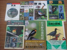 決定版 日本の野鳥590＋日本野鳥歳時記＋日本で見られる野鳥287種判別のポイント＋野鳥ガイドブック＋BIRDER＋世界の野鳥 等12冊_画像1