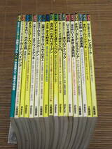 ドゥーパ！特別編集 DIY/DO SERIES 18冊 DIY木工上達テクニック/道具事典/2×材木工入門/塗りのテクニック/レンガワーク/ウッドデッキ_画像2