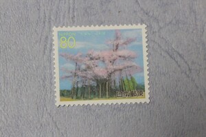 ２０００年　東北の桜　久保桜　NH